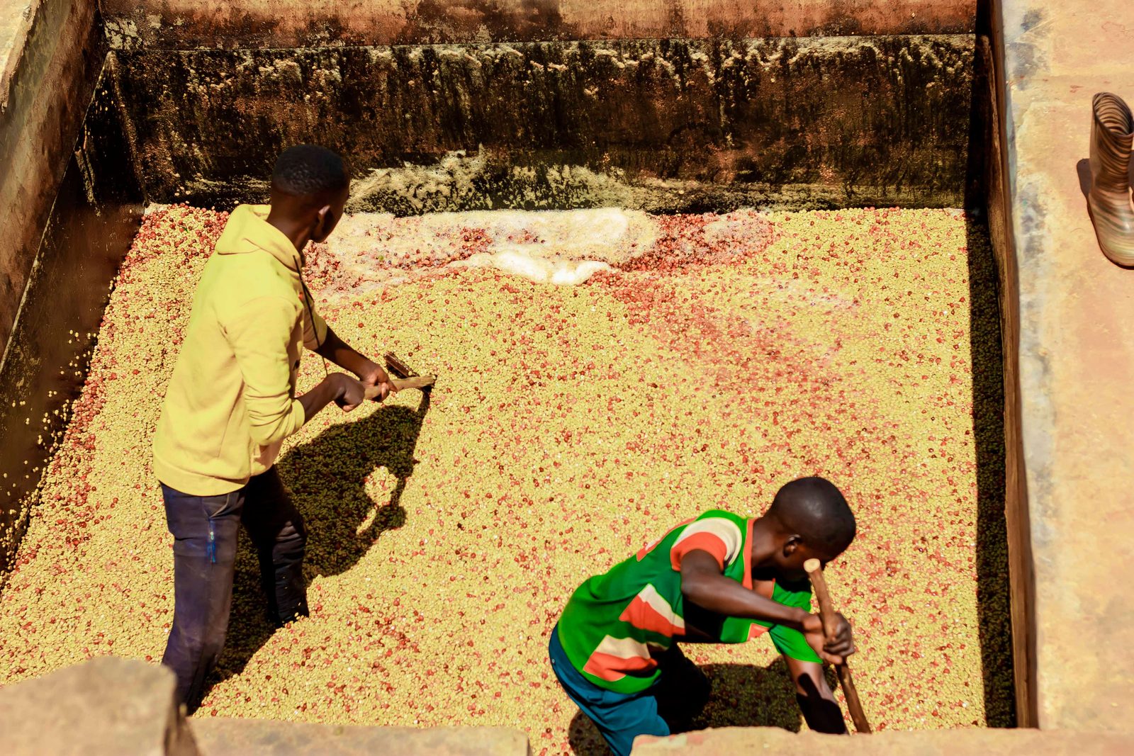 Washing