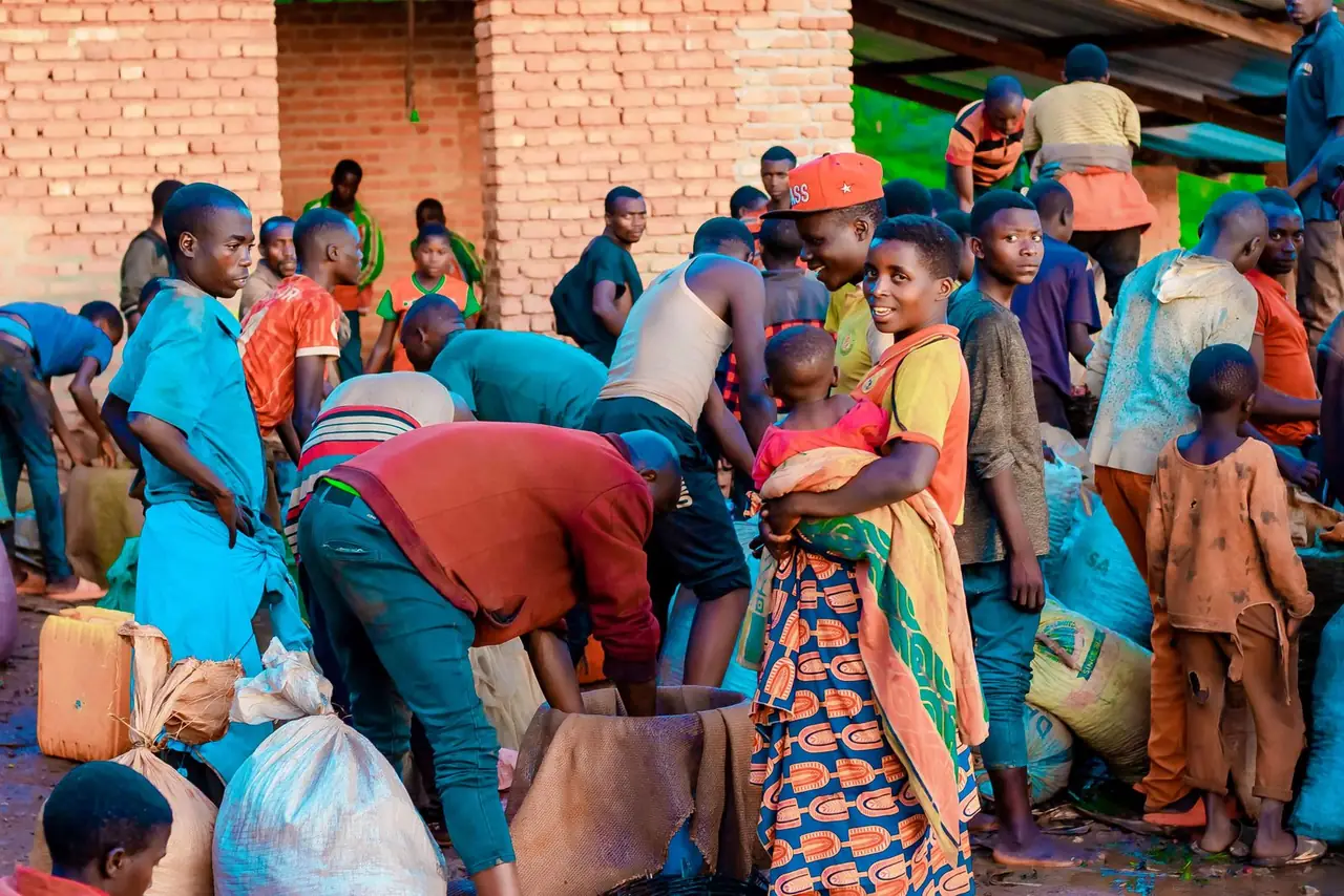 Member-farmers delivering their cherries to the cooperative